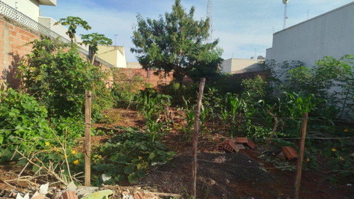 Foto cadastro cód. 2463