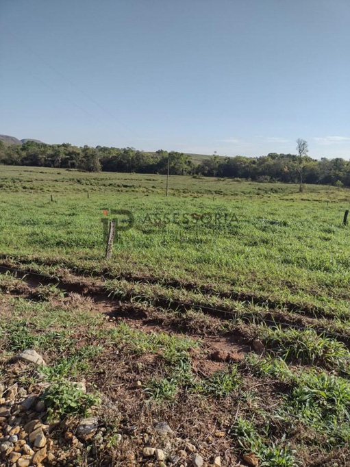 Foto cadastro cód. 2486