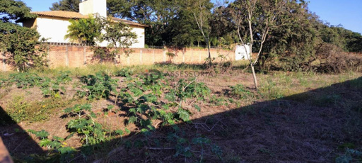 Foto cadastro cód. 2528