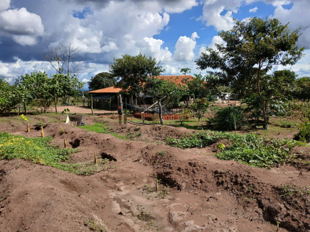 Foto cadastro cód. 2626