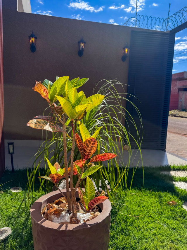 Foto cadastro cód. 2633