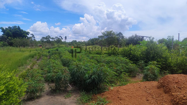 Foto cadastro cód. 2729