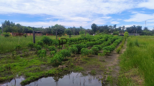 Foto cadastro cód. 2729