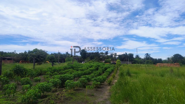 Foto cadastro cód. 2729