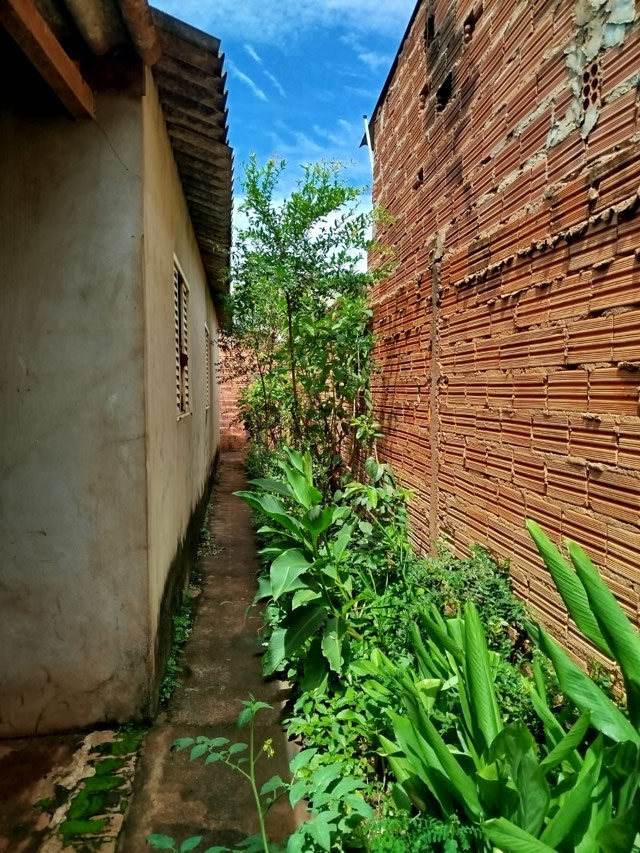 Foto cadastro cód. 2771