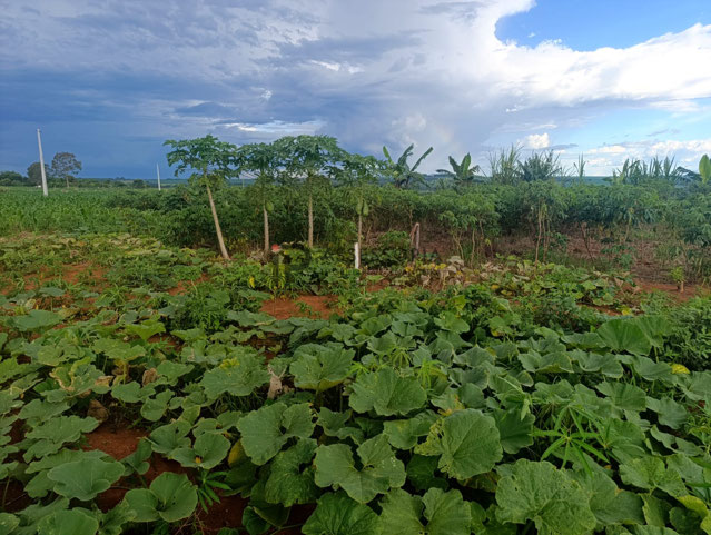 Foto cadastro cód. 2791