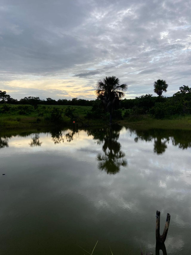 Foto cadastro cód. 2797