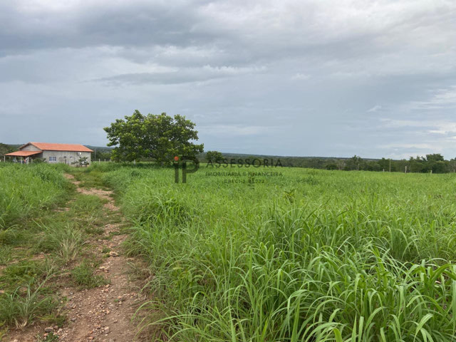 Foto cadastro cód. 2797