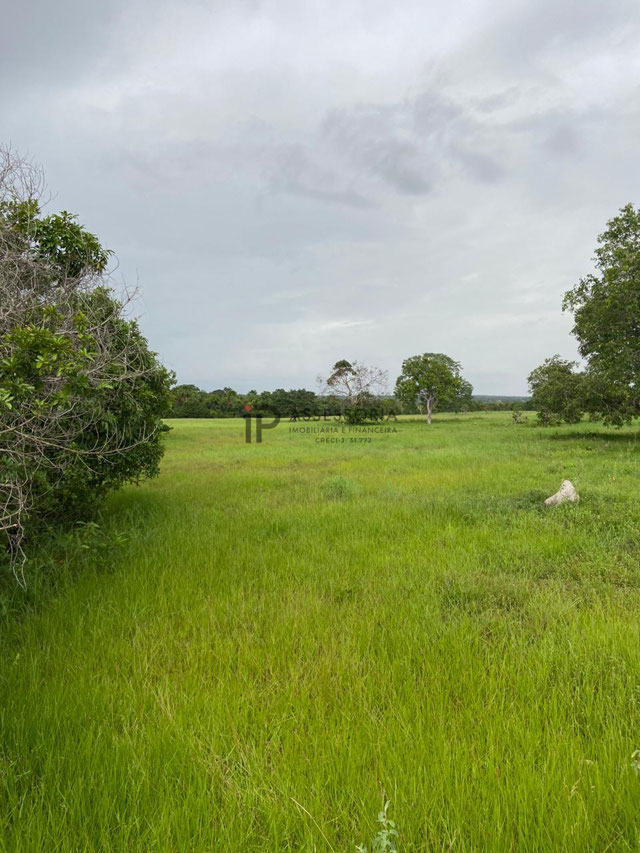 Foto cadastro cód. 2797