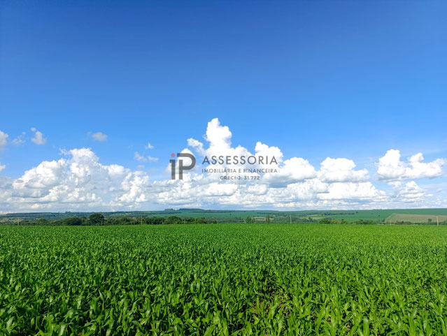 Foto cadastro cód. 2838