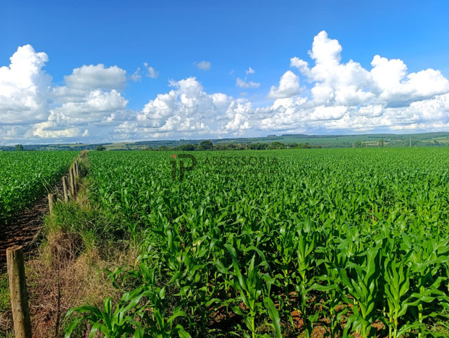 Foto cadastro cód. 2838