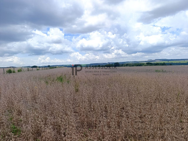 Foto cadastro cód. 2838