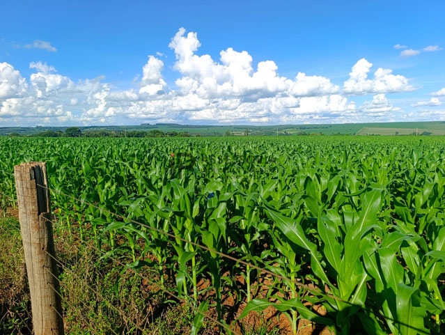 Foto cadastro cód. 2838