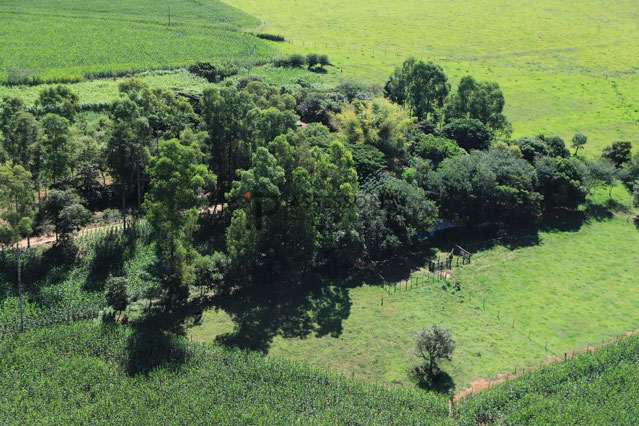 Foto cadastro cód. 2900