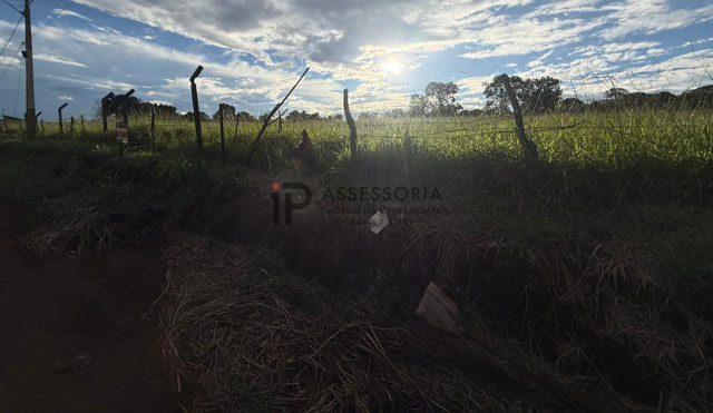 Foto cadastro cód. 2904