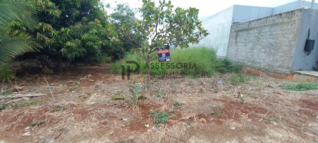 Foto cadastro cód. 2932