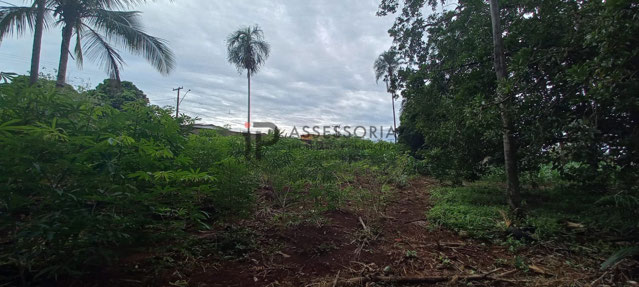 Foto cadastro cód. 2933