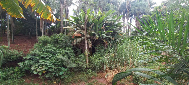 Foto cadastro cód. 2933