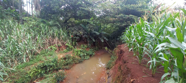 Foto cadastro cód. 2933