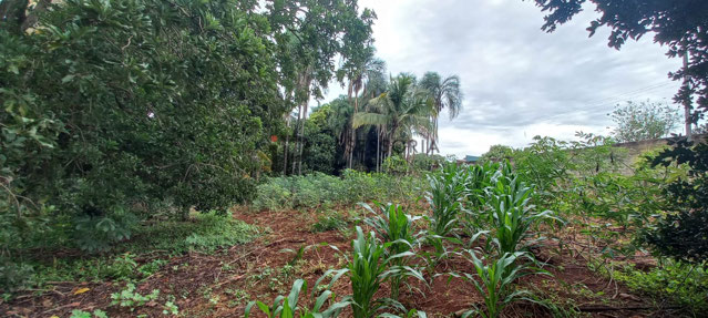 Foto cadastro cód. 2933