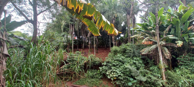 Foto cadastro cód. 2933