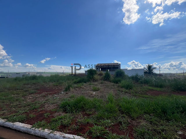 Foto cadastro cód. 2951