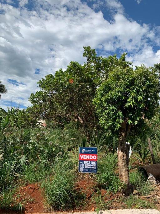 Foto cadastro cód. 826