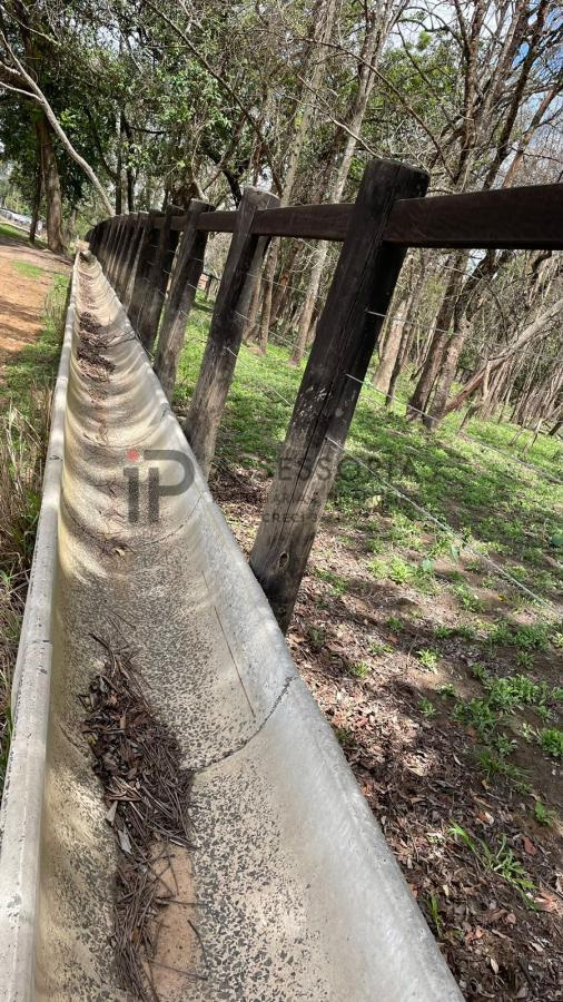 Foto cadastro cód. 978