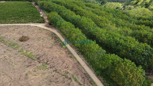 Foto cadastro cód. 1