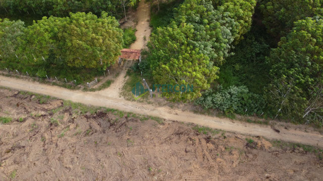 Foto cadastro cód. 1