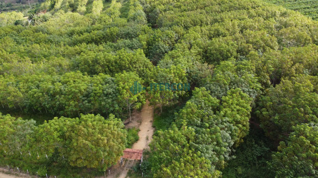 Foto cadastro cód. 1