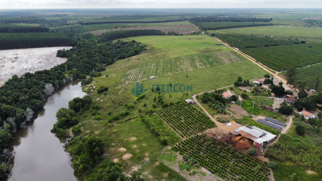 Foto cadastro cód. 4