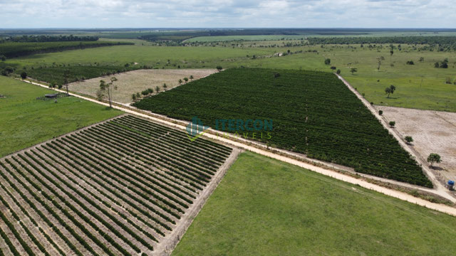 Foto cadastro cód. 4