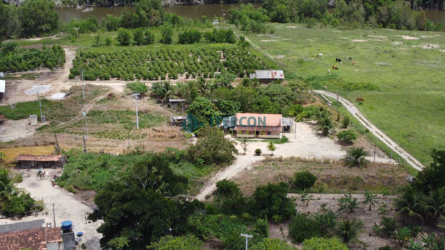 Foto cadastro cód. 4