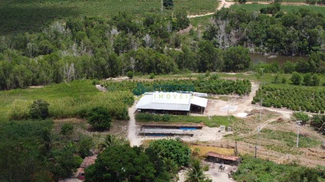 Foto cadastro cód. 4