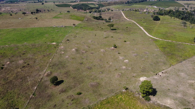 Foto cadastro cód. 6