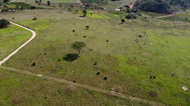 Foto cadastro cód. 6