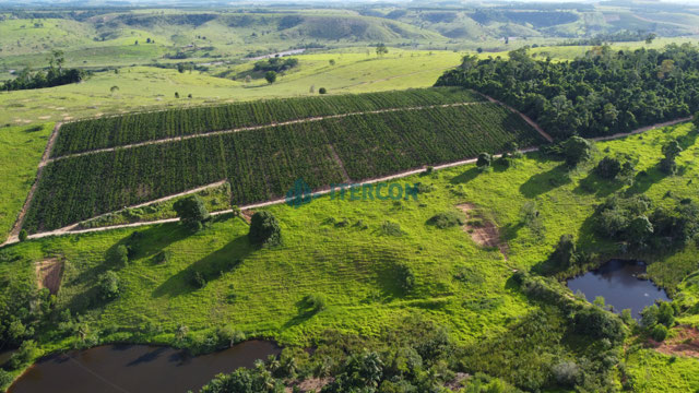 Foto cadastro cód. 63