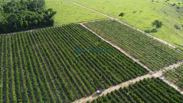 Foto cadastro cód. 63