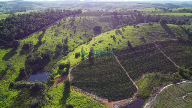 Foto cadastro cód. 63