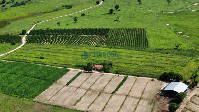 Foto cadastro cód. 64