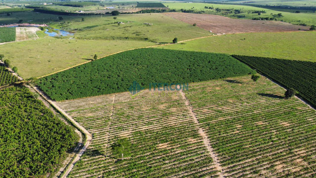 Foto cadastro cód. 66