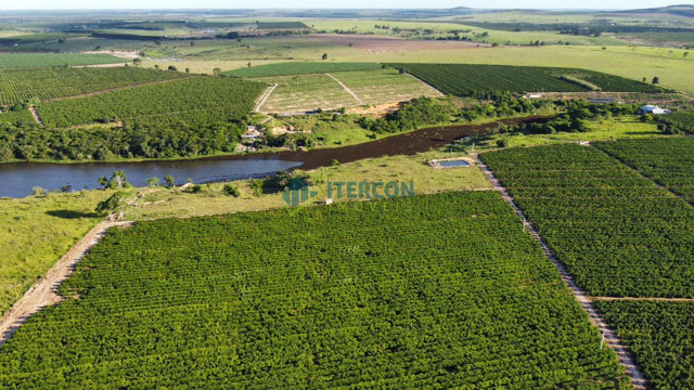 Foto cadastro cód. 66