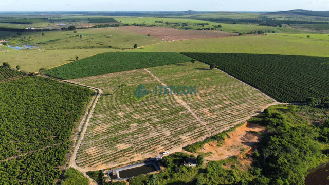 Foto cadastro cód. 66