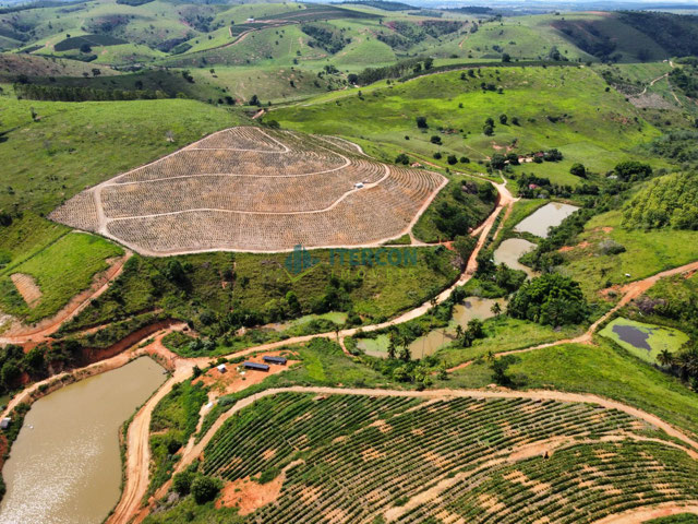 Foto cadastro cód. 68