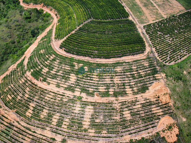 Foto cadastro cód. 68