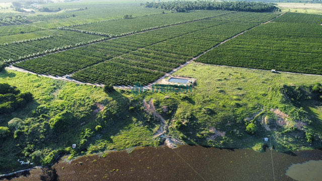 Foto cadastro cód. 85