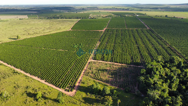 Foto cadastro cód. 87