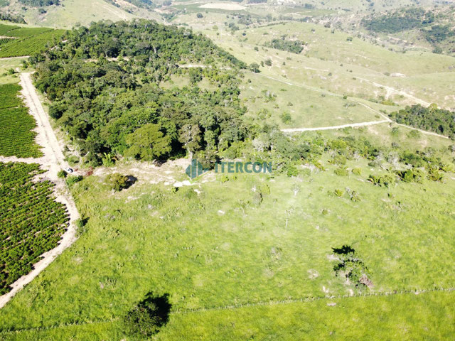 Foto cadastro cód. 91