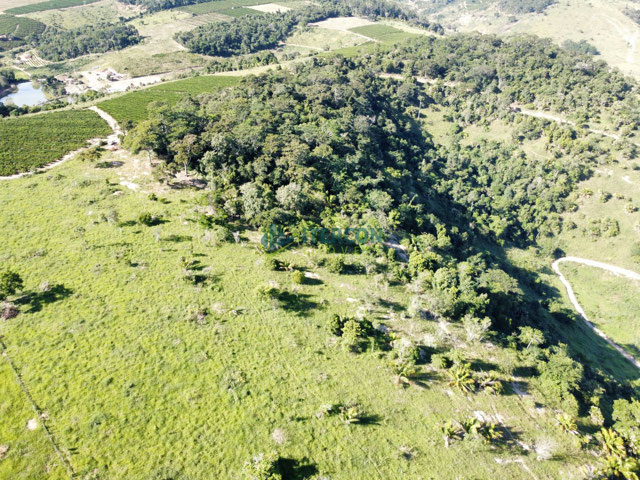 Foto cadastro cód. 91